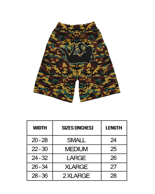 STREET CAMO